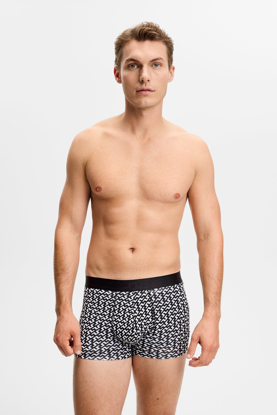 seasonal bridge boxer