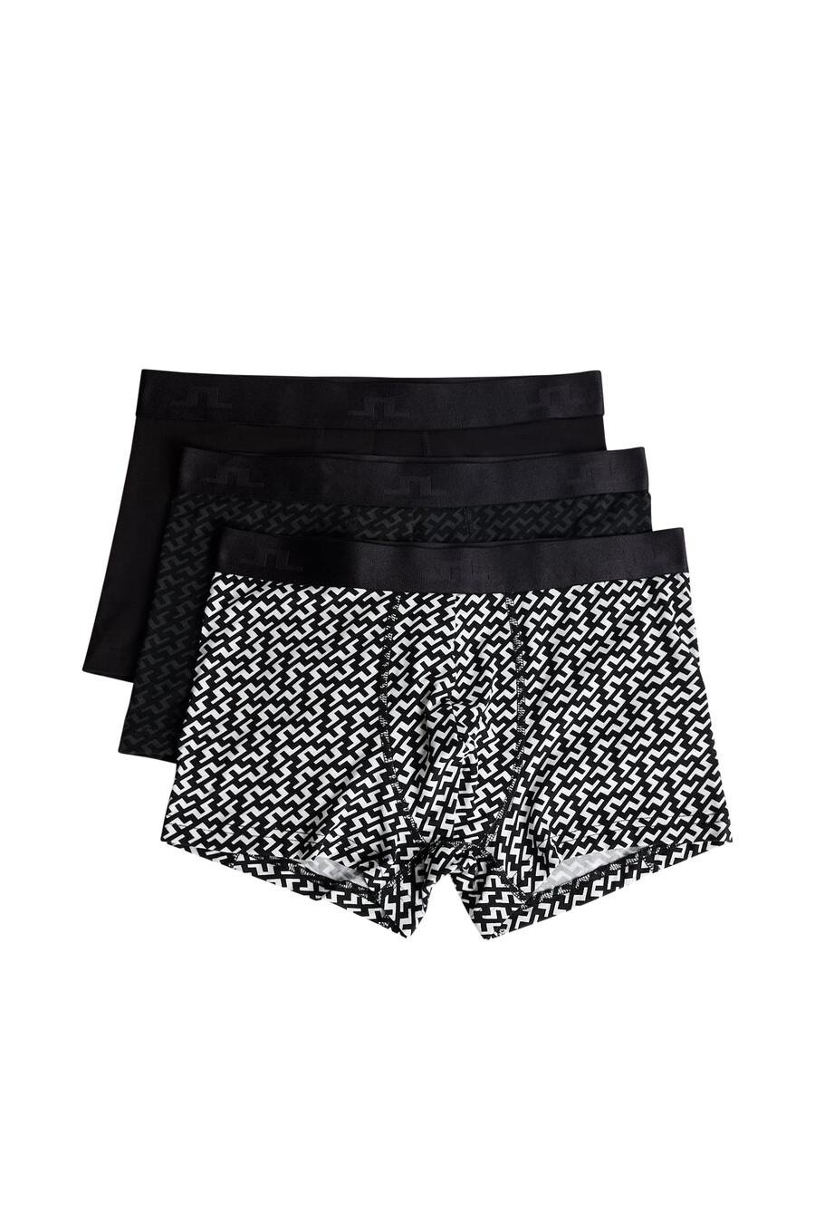 seasonal bridge boxer